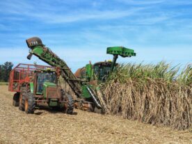 Paraná se destaca no levantamento dos custos da produção Campo Futuro