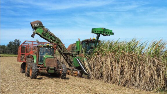 Paraná se destaca no levantamento dos custos da produção Campo Futuro