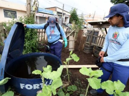 Saiba quais sãos os distritos sanitários mais afetados pela dengue em Curitiba