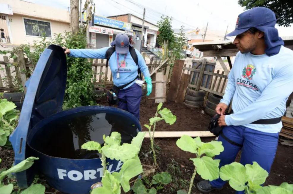 Saiba quais sãos os distritos sanitários mais afetados pela dengue em Curitiba