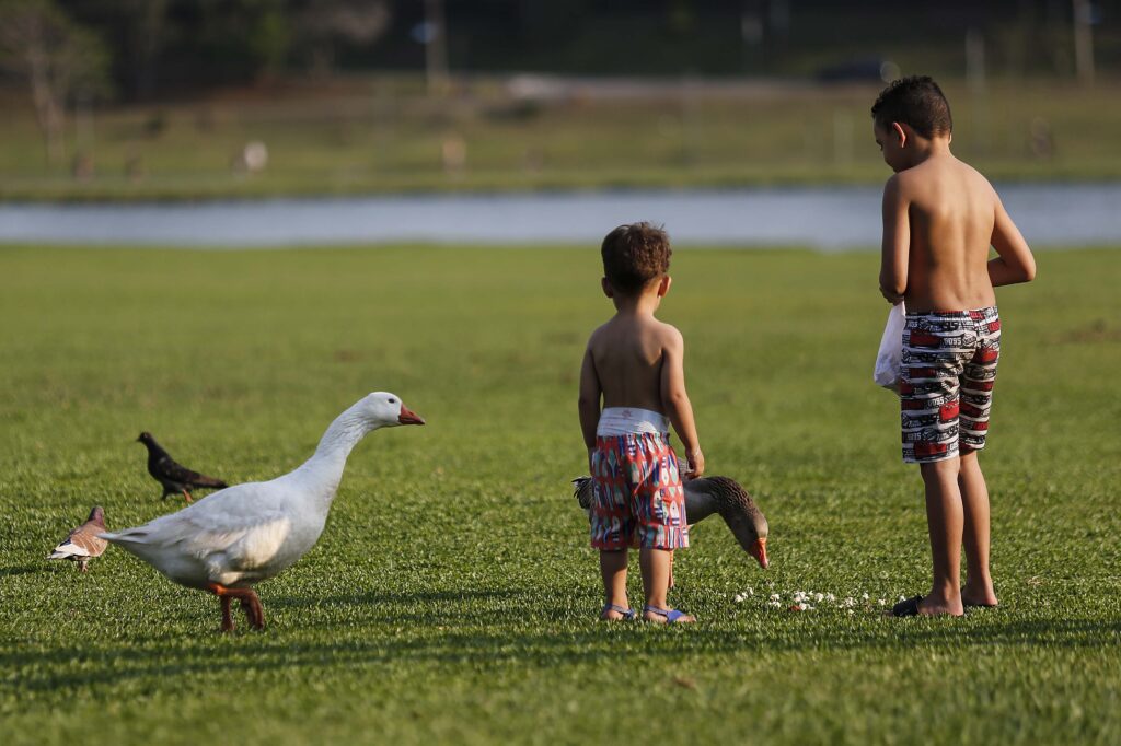 Tempo seco no Paraná é perigoso à saúde, avisa INMET