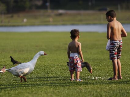 Tempo seco no Paraná é perigoso à saúde, avisa INMET