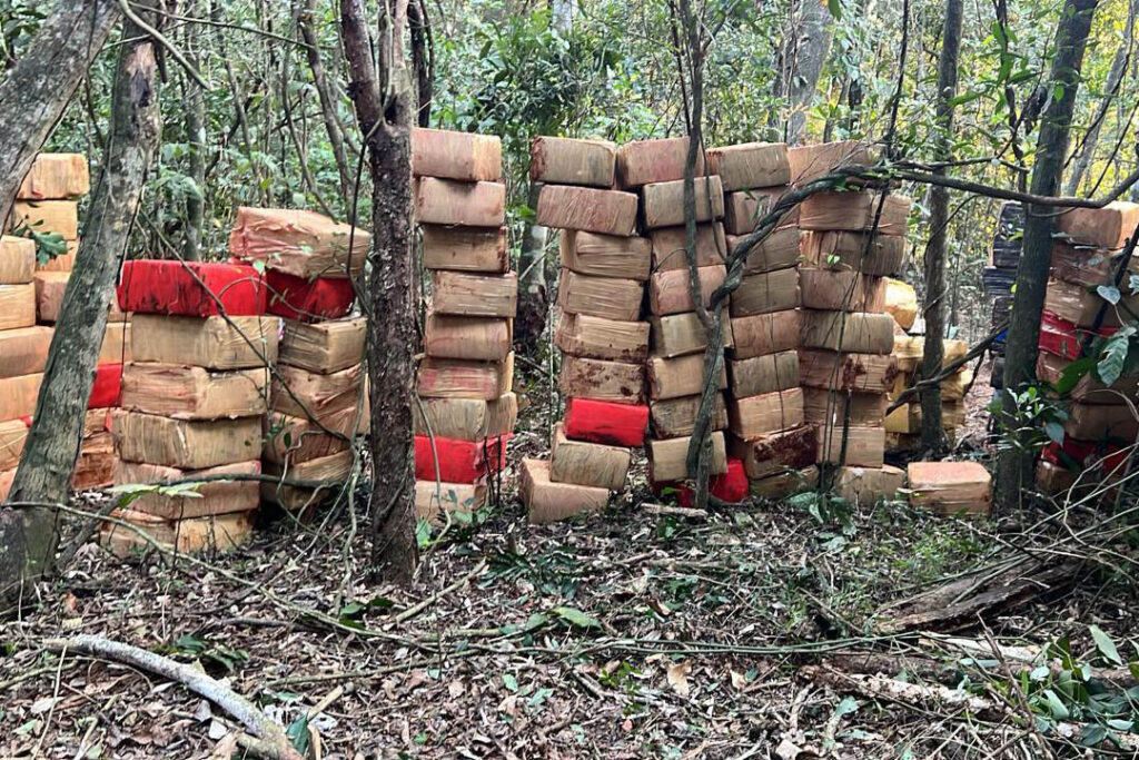 No Paraná, o tráfico de drogas amarga prejuízos com eficiência das forças policiais