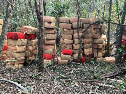 No Paraná, o tráfico de drogas amarga prejuízos com eficiência das forças policiais