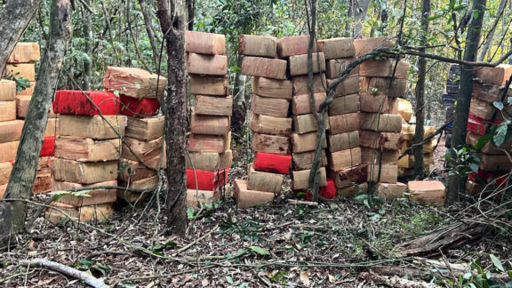 No Paraná, o tráfico de drogas amarga prejuízos com eficiência das forças policiais