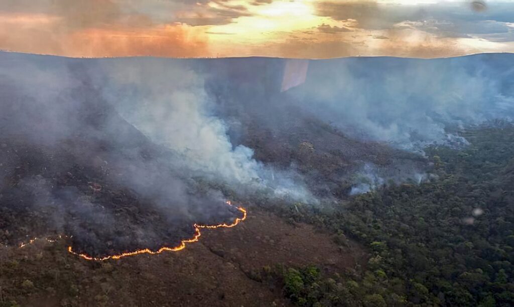 Queimadas florestais: ao menos 221 pessoas já foram detidas no país