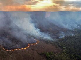 incendio_chapada_veadeiros-queimadas-brasil-incêndio-florestais