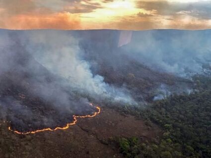 Brasil concentra 76% dos incêndios na América do Sul