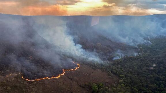 Queimadas florestais: ao menos 221 pessoas já foram detidas no país