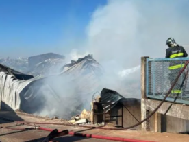 incêndio empresa de madeira Londrina