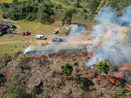 Para prevenir incêndios, Paraná suspende por 90 dias queima controlada no campo