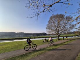 onda-de-calor-paraná-curitiba-parque-barigui-visitantes-geraldo-bubniak-4