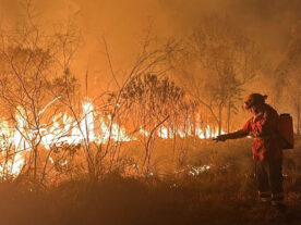 parana-ultrapassa-maxima-historica-de-incendios-florestais-medidas-governo-parana-para-estiagem.jpg