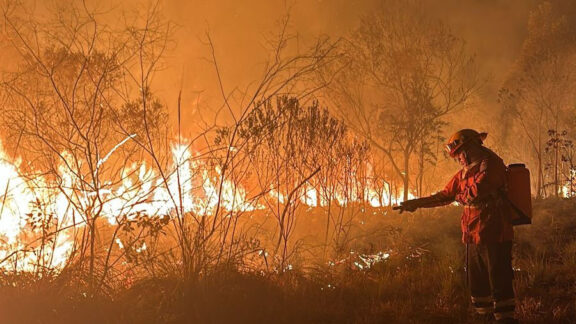 Paraná ultrapassou máxima histórica de incêndios florestais