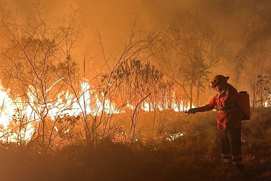 Paraná ultrapassou máxima histórica de incêndios florestais