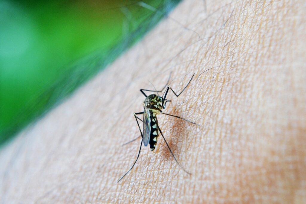 Adolescente de 15 anos morre de dengue em Abatiá, no norte do estado