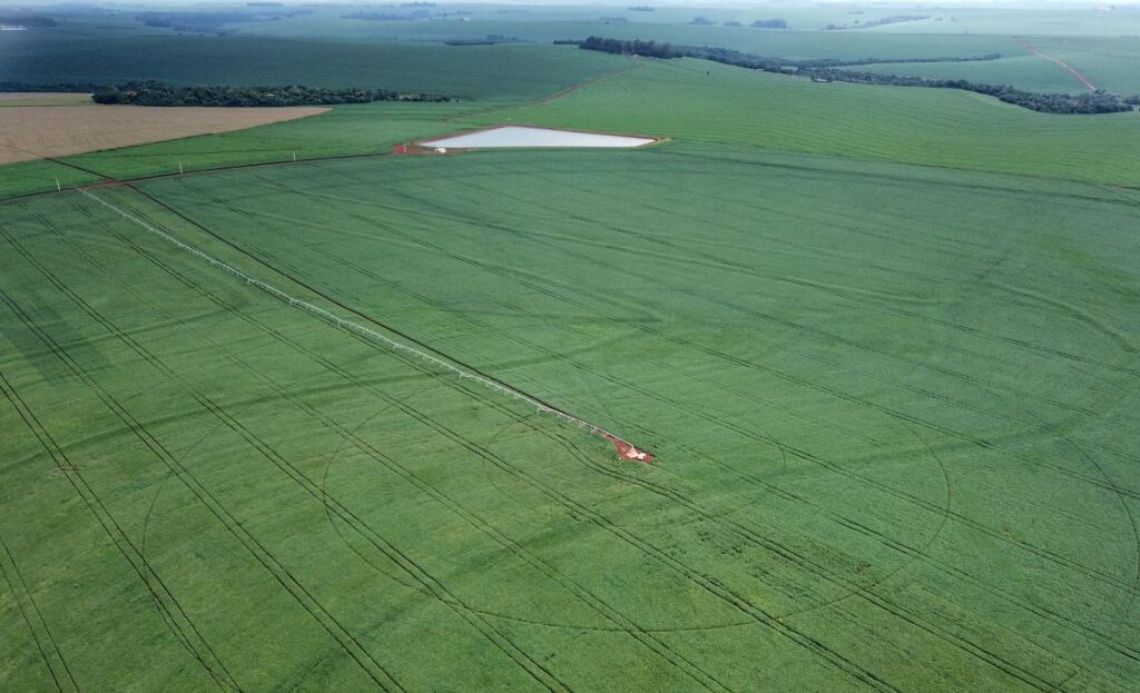 Após chuvas, plantio de soja avança no Paraná e já cobre 22% da área prevista