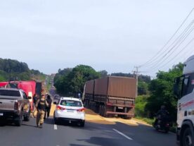 Caminhão carregado com trigo tomba na BR-376 em Ponta Grossa