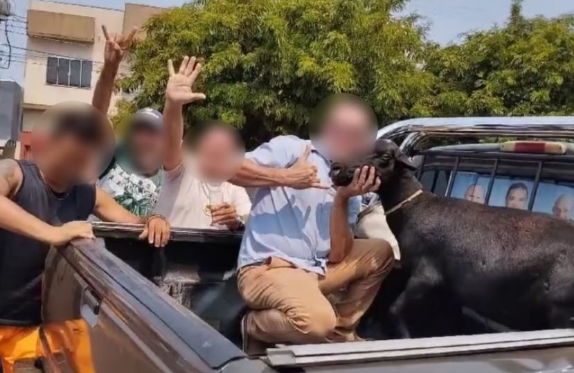 Dupla que matou bode e pintou número 13 no animal por provocação política é denunciada