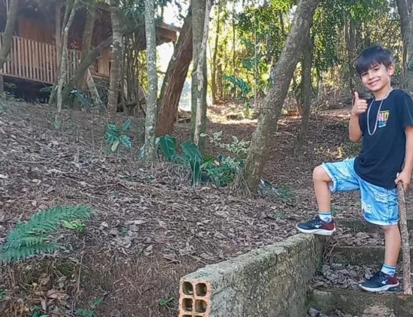 Menino morre após ser picado por abelha em Jaguariaíva, nos Campos Gerais