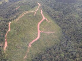 Operação identifica 1,4 mil hectares de desmatamento ilegal na Mata Atlântica do Paraná