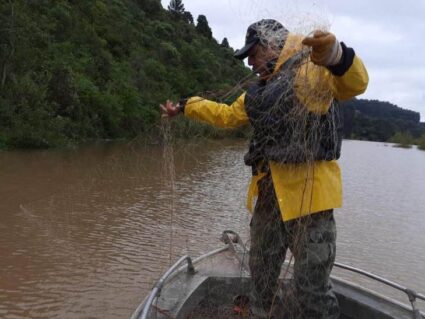 Piracema: proibição de pesca predatória começa na sexta-feira (1º) no Paraná