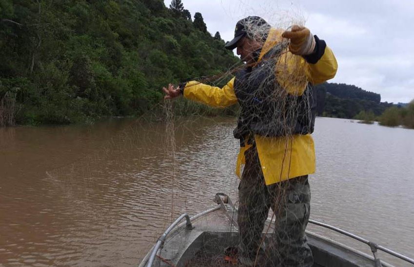 Piracema: proibição de pesca predatória começa na sexta-feira (1º) no Paraná