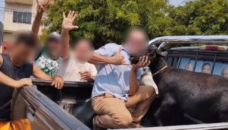 Vereador do PL é um dos denunciados por matar bode e pintar o número 13 no animal