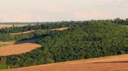 Produtor rural pode compensar reserva legal em áreas do mesmo bioma