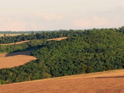 Produtor rural pode compensar reserva legal em áreas do mesmo bioma