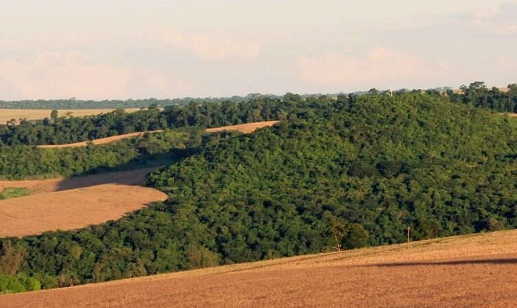 Produtor rural pode compensar reserva legal em áreas do mesmo bioma