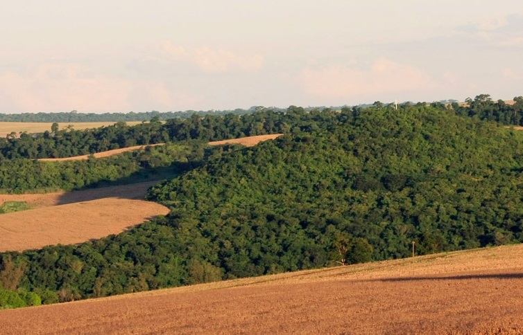 Produtor rural pode compensar reserva legal em áreas do mesmo bioma