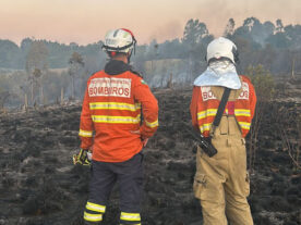 cai-número-incêndio-florestal-paraná-Incêndios florestais no Paraná