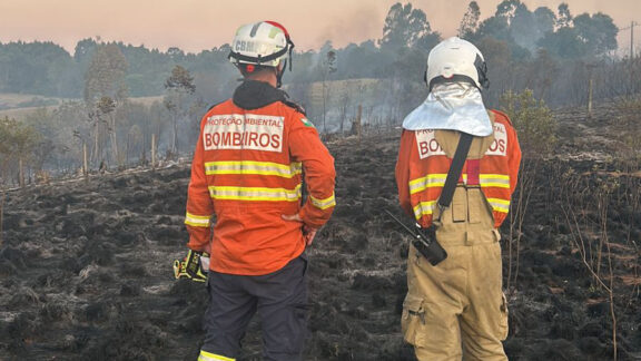 Incêndios florestais no Paraná caem 57% nos últimos quinze dias