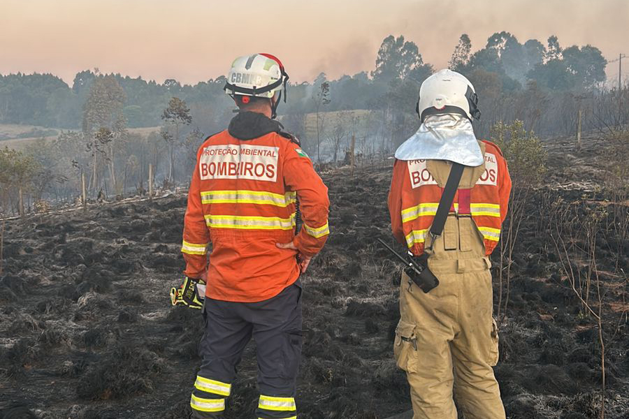 Incêndios florestais no Paraná caem 57% nos últimos quinze dias