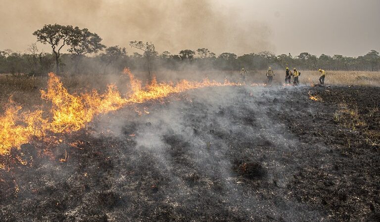 Queimadas: AGU cobra R$ 89 milhões de acusados de colocar fogo na Amazônia