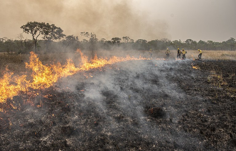 Queimadas: AGU cobra R$ 89 milhões de acusados de colocar fogo na Amazônia