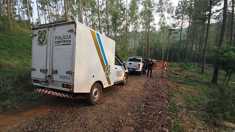 Homem morre ao ser atingido por árvore no primeiro dia de trabalho, no Paraná