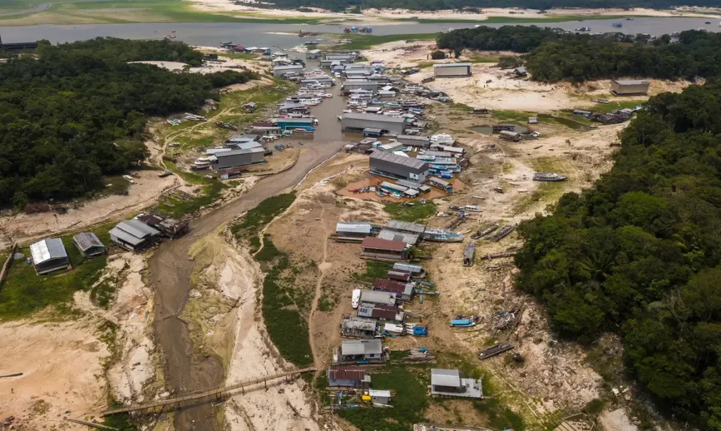 Falta de água, desertificação, aumento de doenças: veja a projeção para 2050 no Brasil