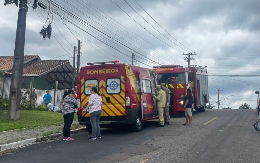 Mulher fica em estado grave após ser atacada por enxame de abelhas