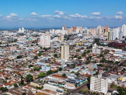 Norte e noroeste do Paraná lideram casos de dengue no estado