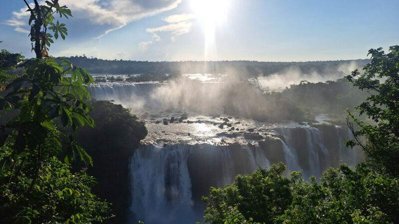 Parque do Paraná está entre os 10 destinos turísticos mais procurados no Google