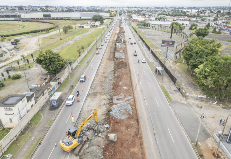 corte de árvores em Curitiba obras Victor Ferreira do Amaral