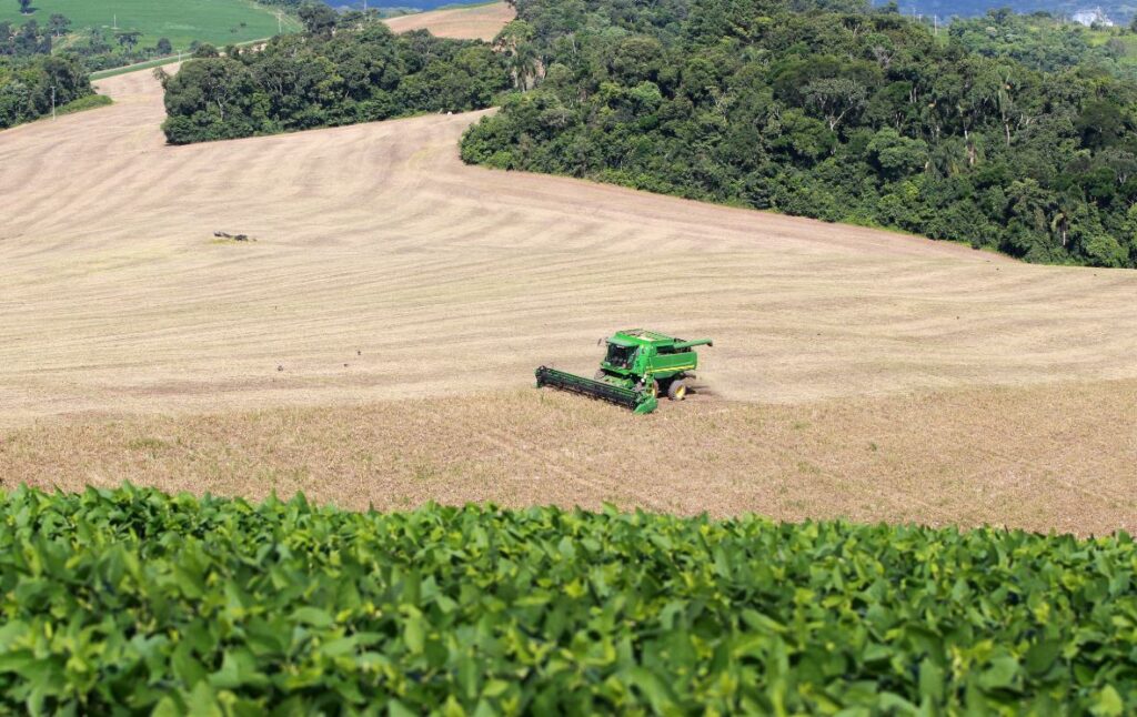 Área semeada e bom clima mantêm expectativa de safra recorde para o feijão no Paraná