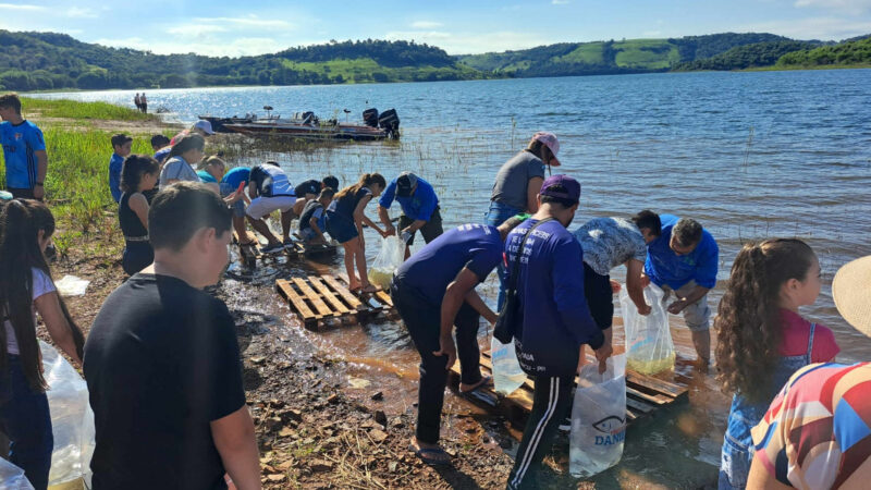 Rio Iguaçu recebe 1,3 milhão de peixes nativos