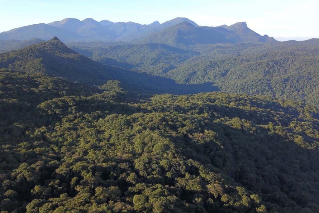 Projeto que muda licenciamento ambiental no Paraná é votado a toque de caixa na Alep