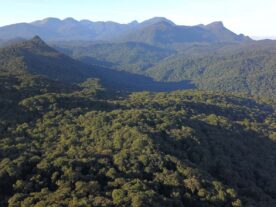 Serra do Mar Paraná projeto de lei licenciamento ambiental Assembleia