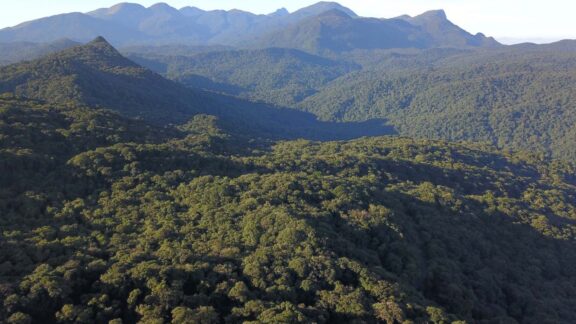 Projeto que muda licenciamento ambiental no Paraná é votado a toque de caixa na Alep