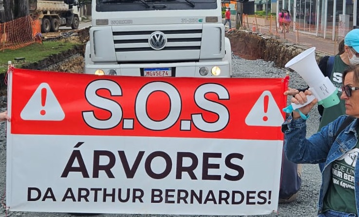 Prefeitura de Curitiba não promete manter árvores na Arthur Bernardes