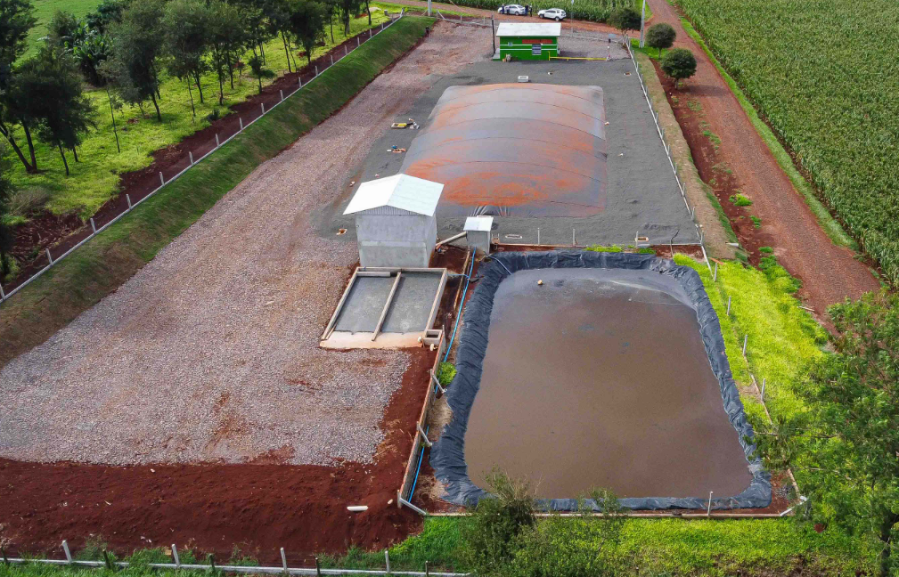 Flexibilização do licenciamento ambiental no Paraná A visão do setor